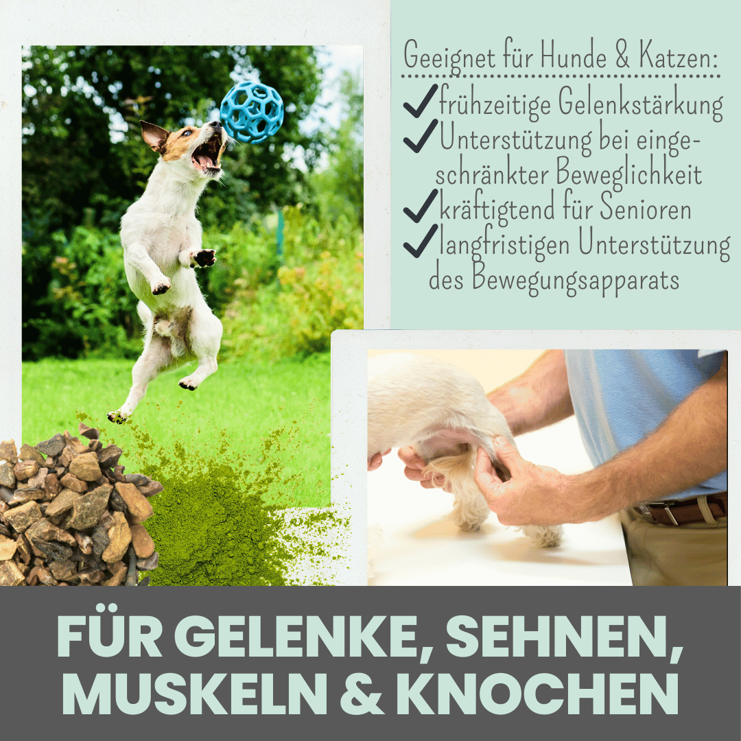 
                  
                    Kombipaket Dentalspray & Gelenkmix
                  
                