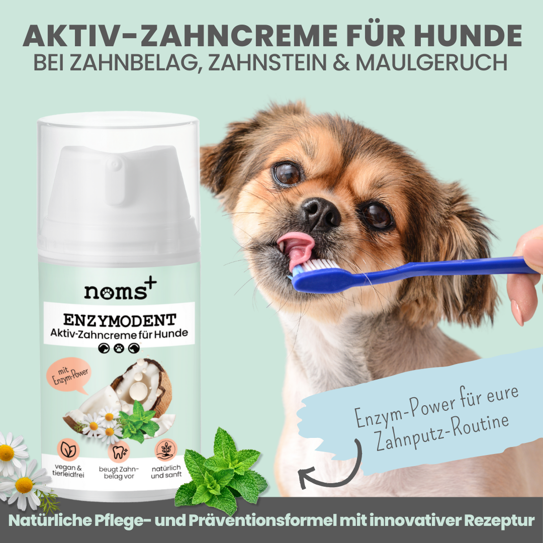 
                  
                    Natürliche Zahnpflege für Hunde im Duo: Dentalspray & Enzymodent
                  
                