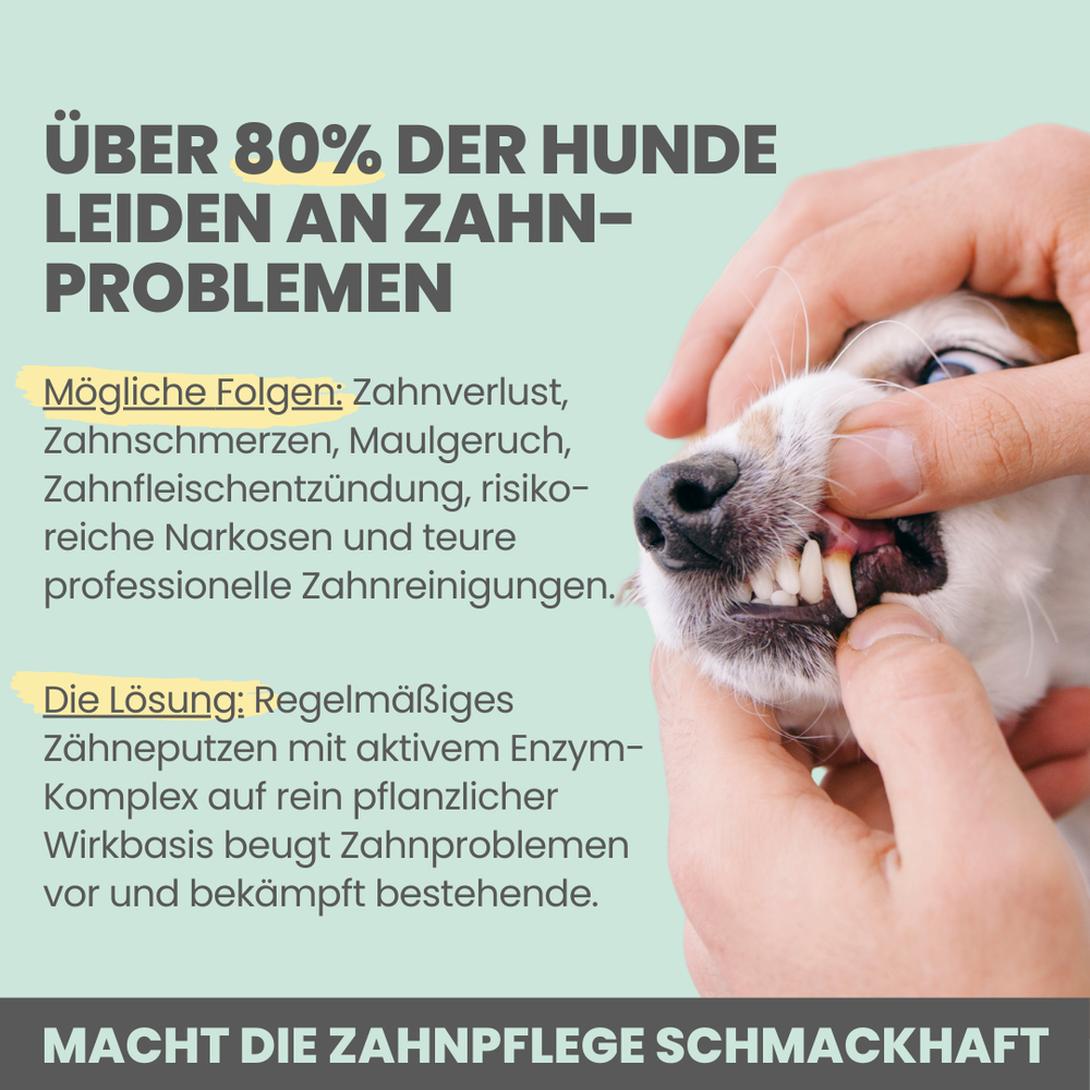 
                  
                    Natürliche Zahnpflege für Hunde im Duo: Dentalspray & Enzymodent
                  
                