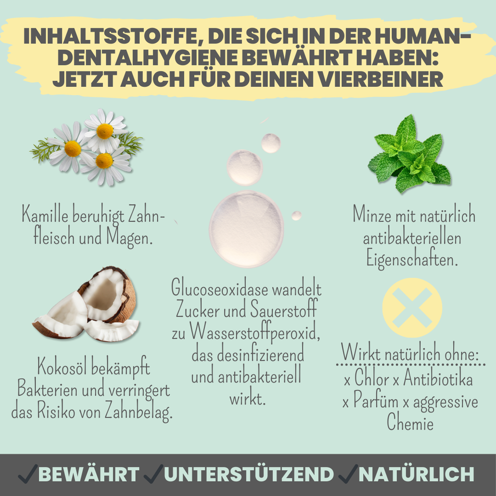 
                  
                    Natürliche Zahnpflege für Hunde im Duo: Dentalspray & Enzymodent
                  
                