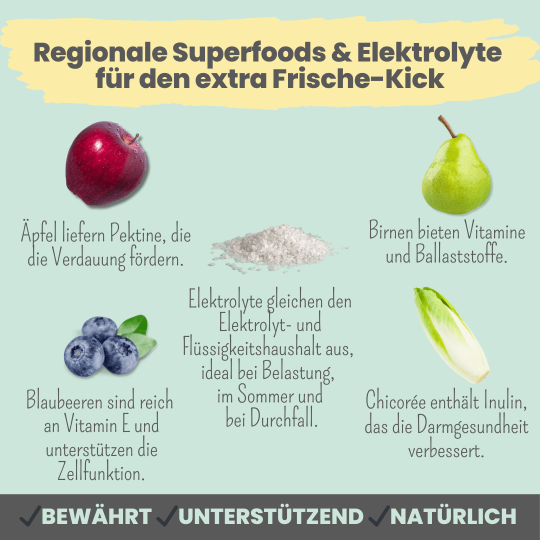 
                  
                    Hunde Smoothie-Bowl: Der fruchtig frische Elektrolyt-Booster
                  
                