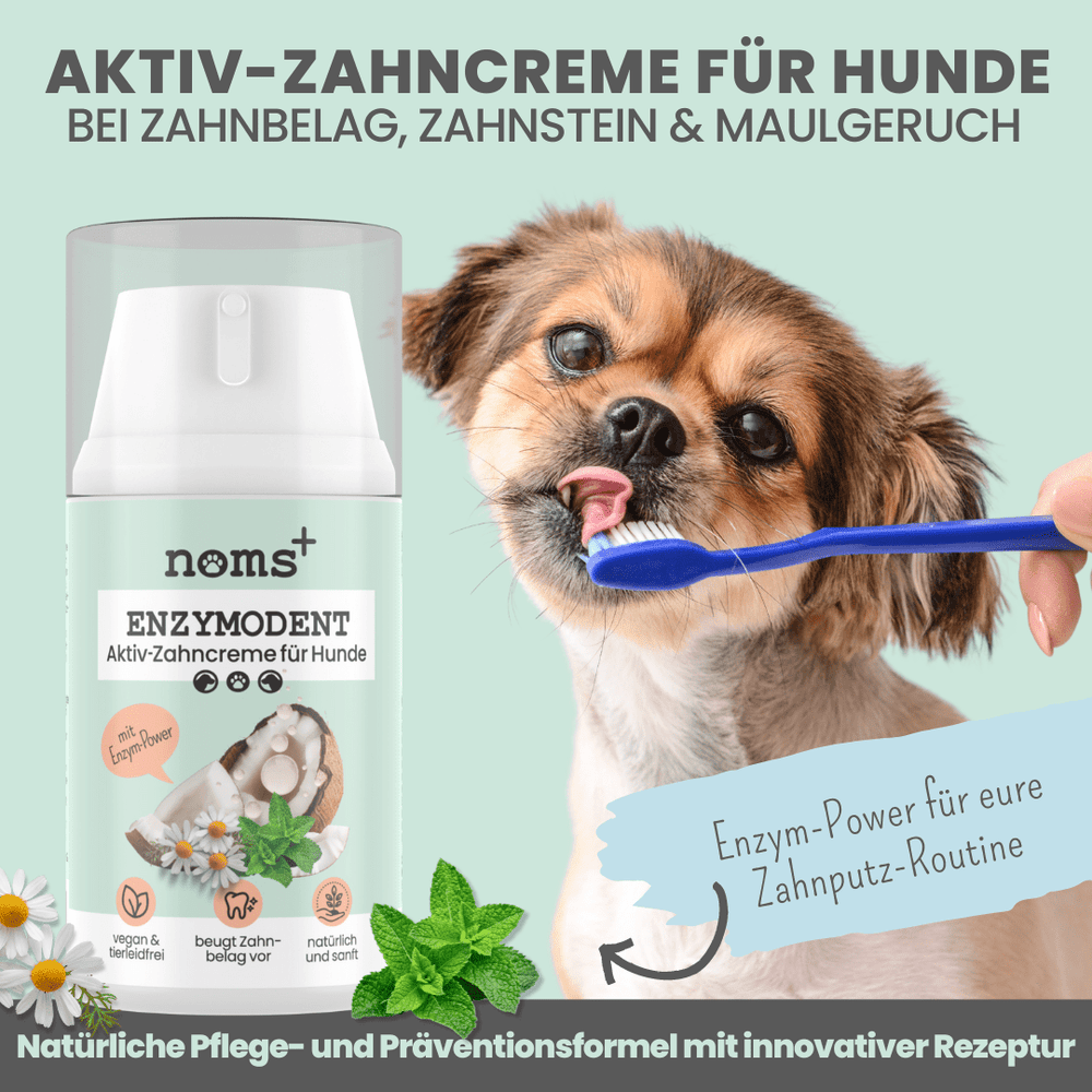 
                  
                    Natürliche Zahnpflege für Hunde im Duo: Dentalspray & Enzymodent
                  
                