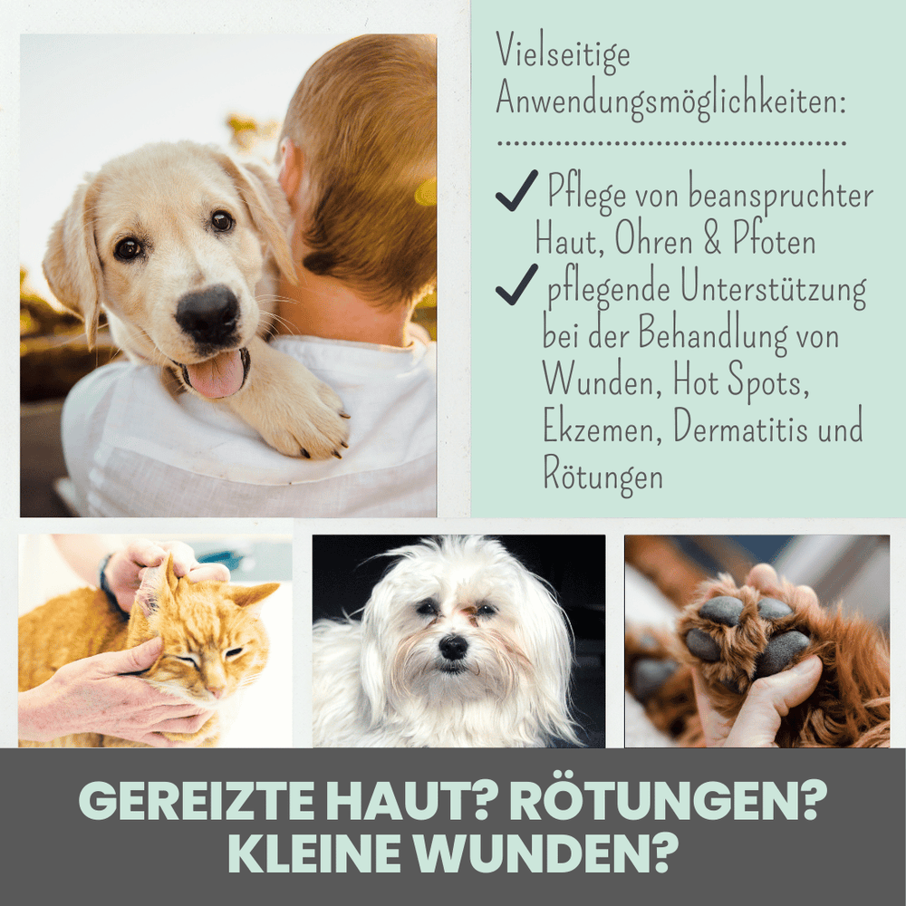 
                  
                    Silberspray für Hunde und Katzen mit 50ppm
                  
                