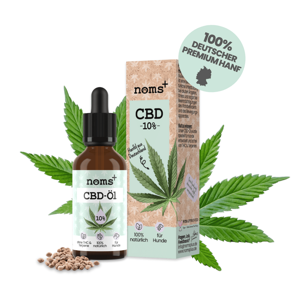 10% CBD Tropfen für Hunde