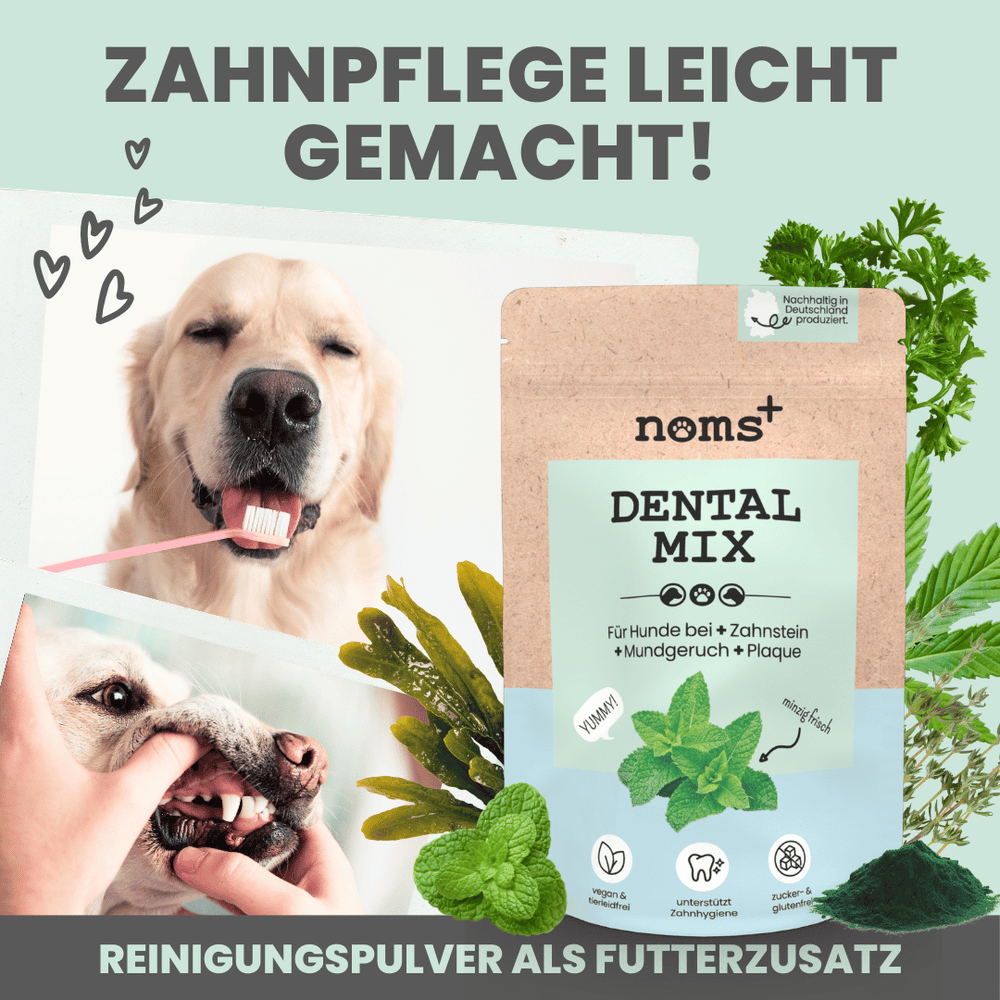 
                  
                    Hunde-Dental-Box: Natürliche Zahnpflege mit Dentalspray, Enzymodent & Dentalmix
                  
                