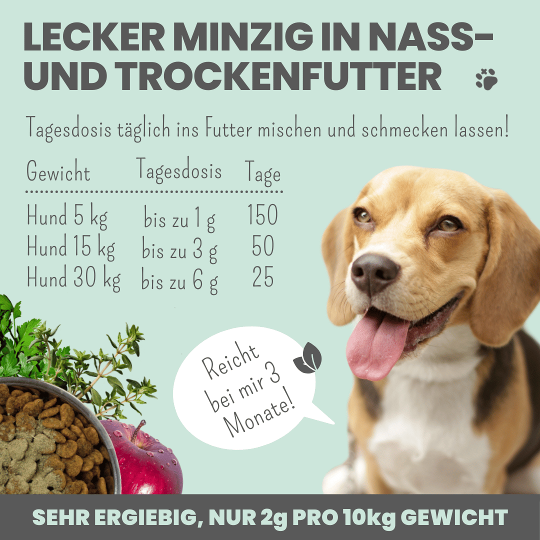 
                  
                    Hunde-Dental-Box: Natürliche Zahnpflege mit Dentalspray, Enzymodent & Dentalmix
                  
                