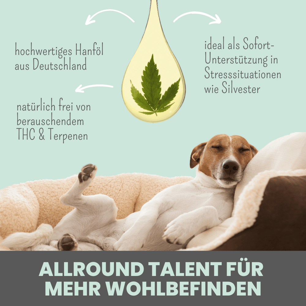 
                  
                    Natürliche Silvester-Hilfe für Hunde im Duo: CBD Öl & Wohlfühltabs
                  
                