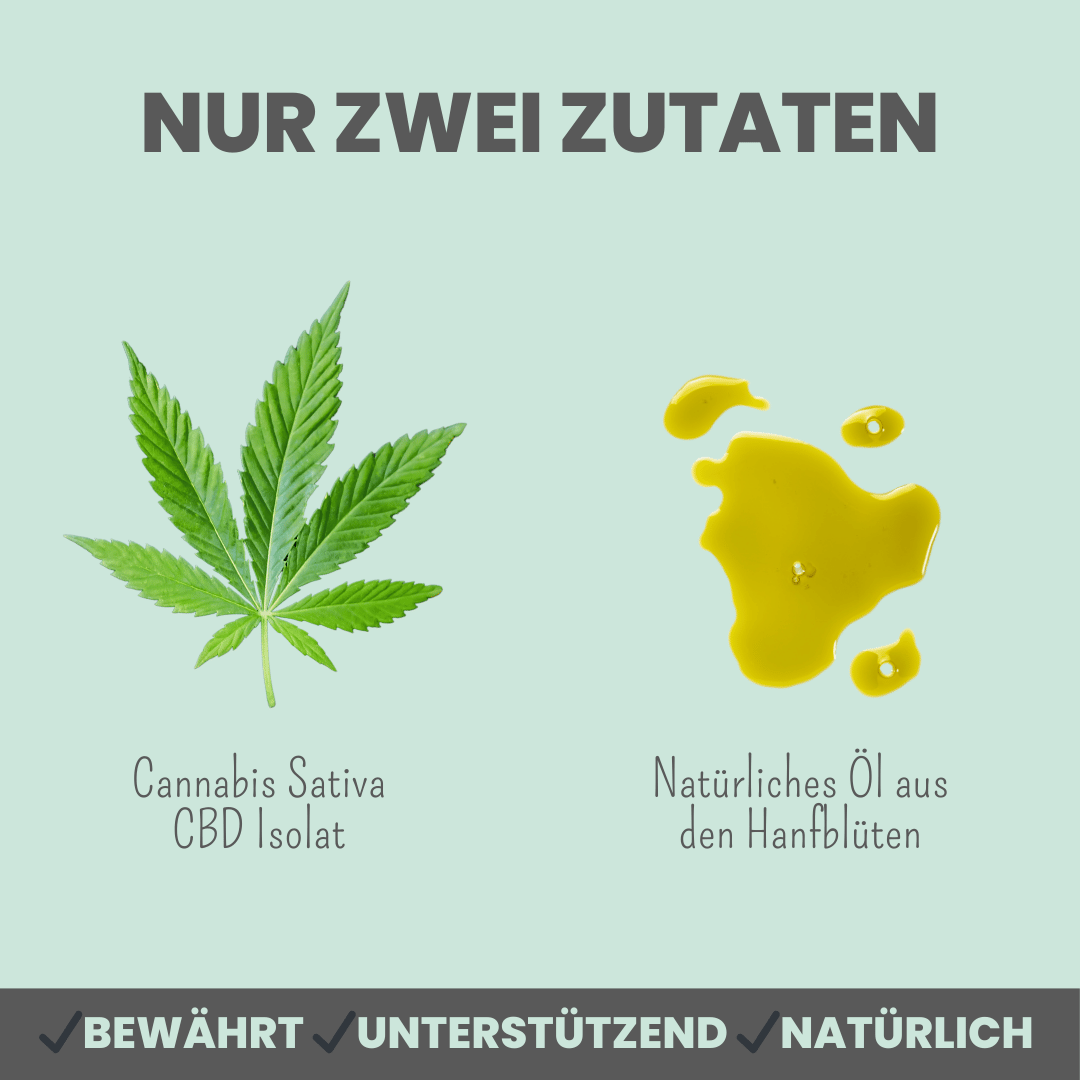 
                  
                    Natürliche Silvester-Hilfe für Hunde im Duo: CBD Öl & Wohlfühltabs
                  
                