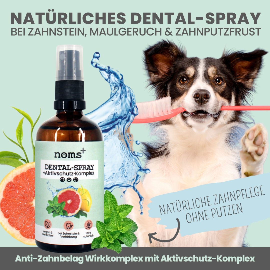 
                  
                    Natürliche Zahnpflege für Hunde im Trio: Dentalspray, Dentals & Enzymodent
                  
                