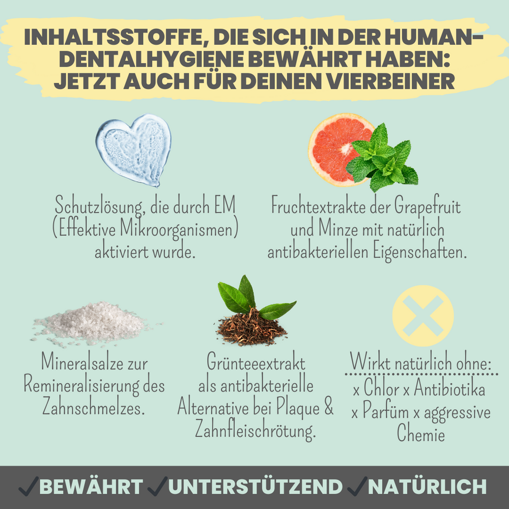 
                  
                    Hunde-Dental-Box: Natürliche Zahnpflege mit Dentalspray, Enzymodent & Dentalmix
                  
                