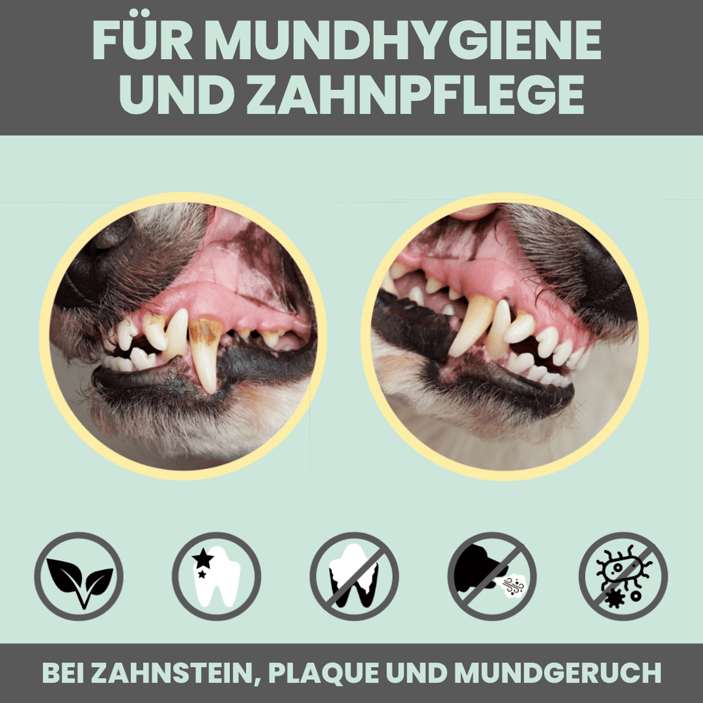 
                  
                    Kombipaket Dentalspray & Wohlfühlmix
                  
                