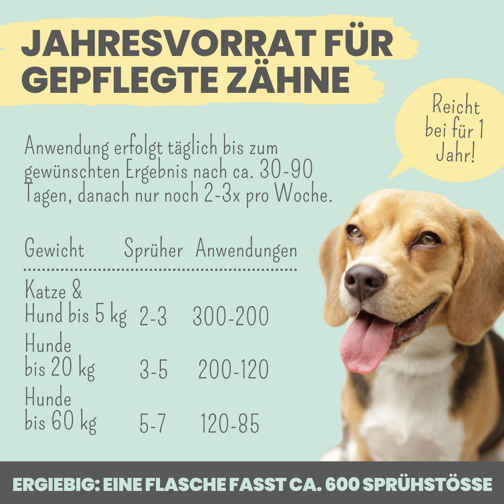 
                  
                    Natürliche Zahnpflege für Hunde im Trio: Dentalspray, Dentals & Enzymodent
                  
                