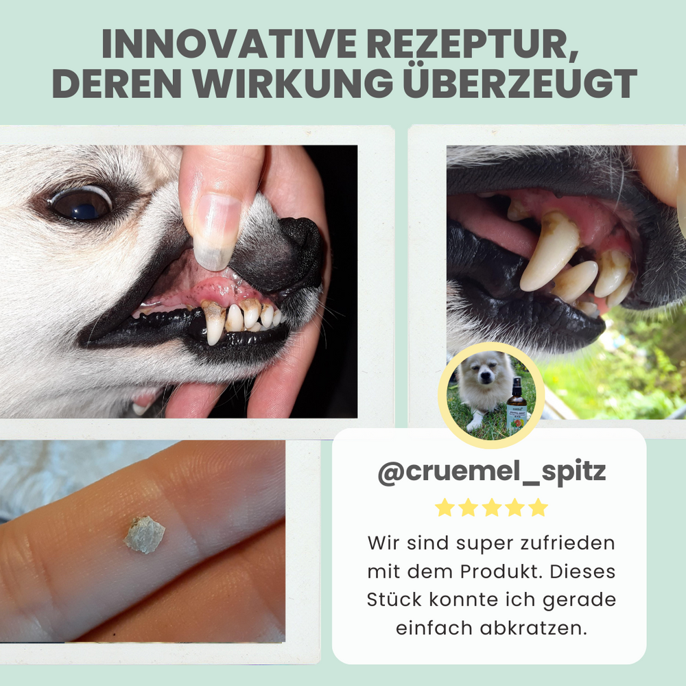 
                  
                    Natürliches Zahnpflege-Duo: Dentalspray und Enzymodent
                  
                