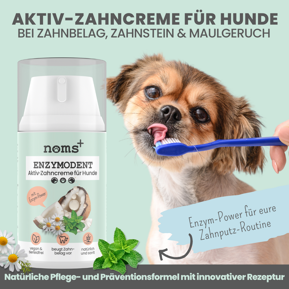 
                  
                    Natürliche Zahnpflege für Hunde im Trio: Dentalspray, Dentals & Enzymodent
                  
                