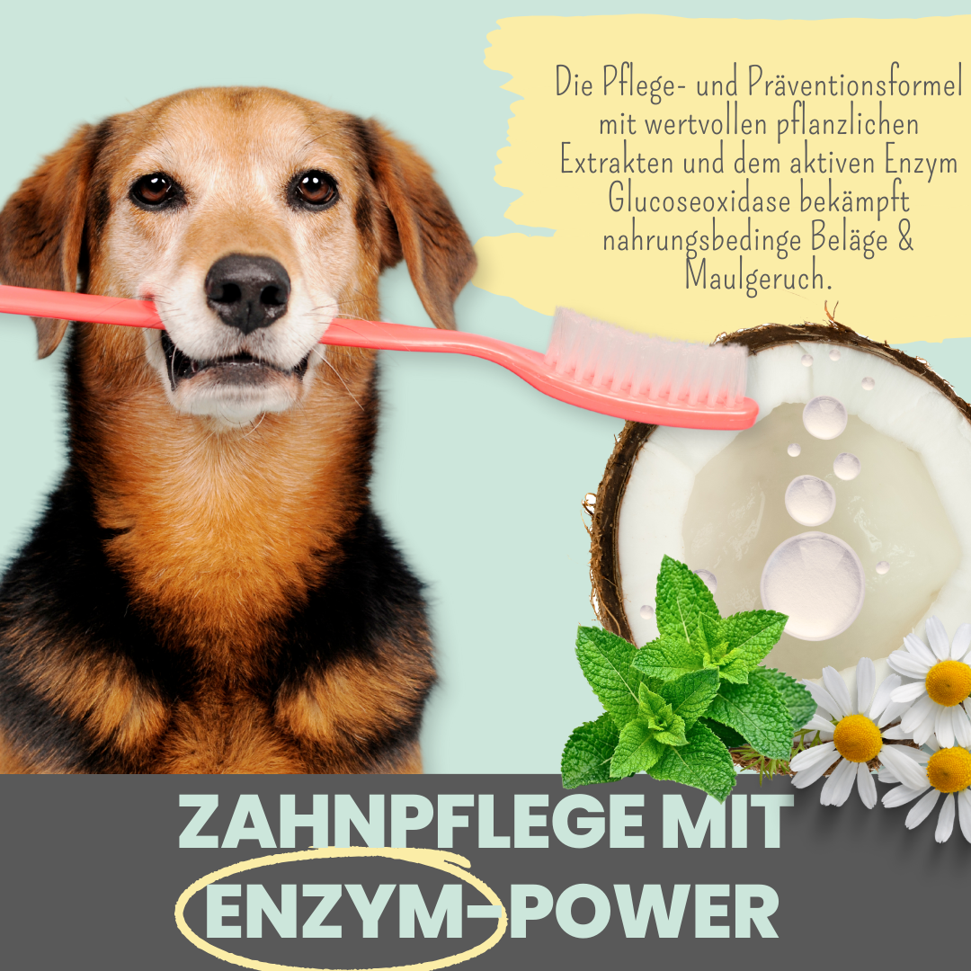 
                  
                    Hunde-Dental-Box: Natürliche Zahnpflege mit Dentalspray, Enzymodent & Dentalmix
                  
                