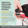 Natürliche Zahnpflege für Hunde im Trio: Dentalspray, Dentals & Enzymodent