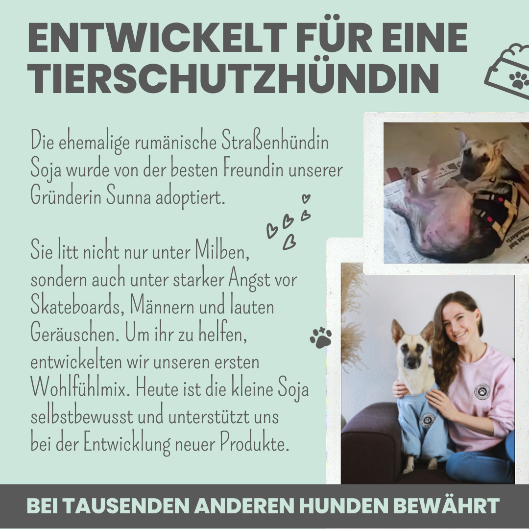 
                  
                    Wohlfühl-Box für Hunde zur natürlichen Beruhigung
                  
                