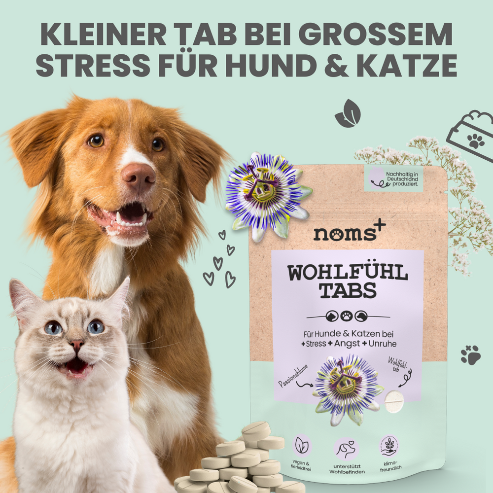 
                  
                    Natürliche Silvester-Hilfe für Hunde im Duo: CBD Öl & Wohlfühltabs
                  
                