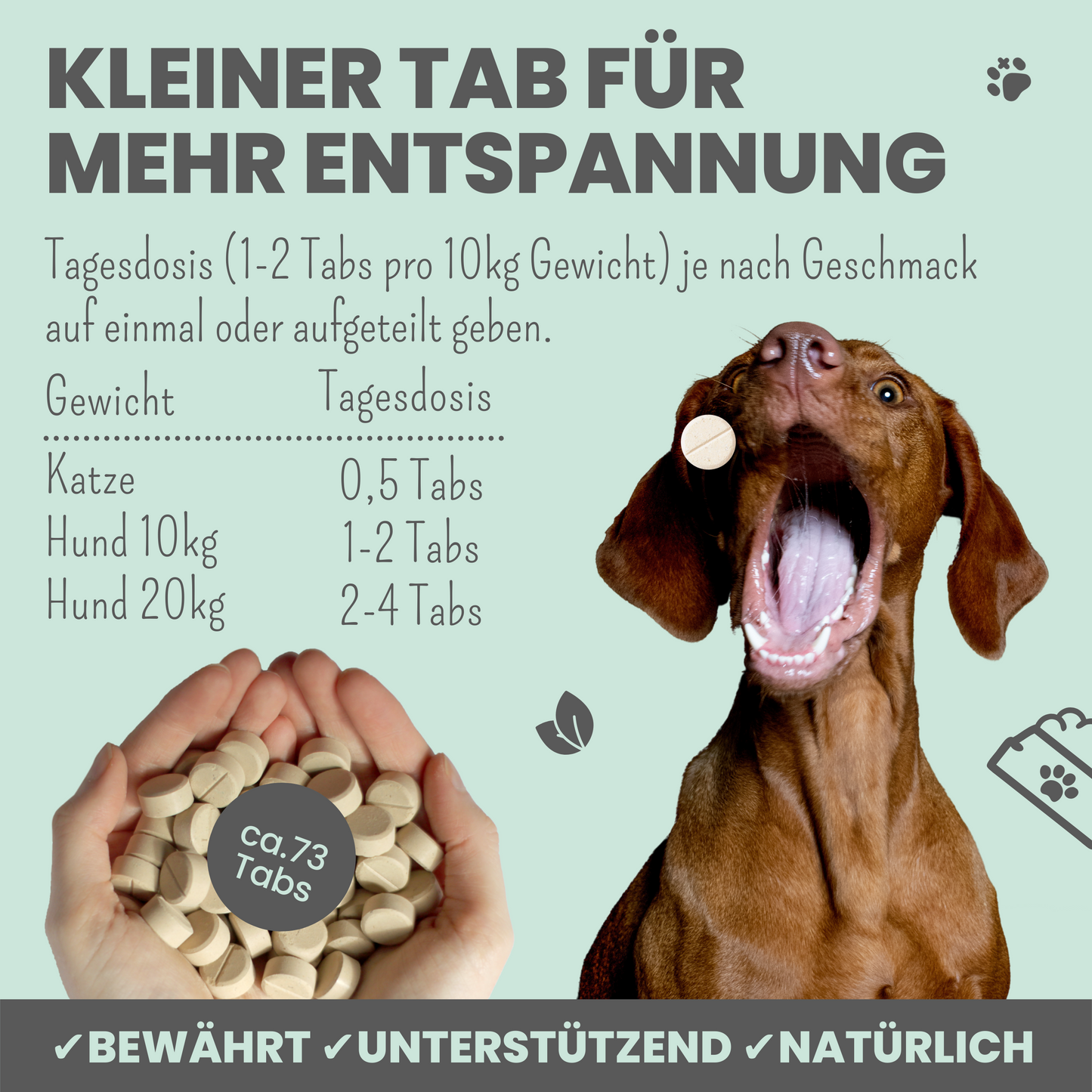 
                  
                    Natürliche Silvester-Hilfe für Hunde im Duo: CBD Öl & Wohlfühltabs
                  
                