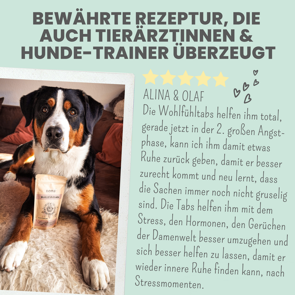 
                  
                    Natürliche Silvester-Hilfe für Hunde im Duo: CBD Öl & Wohlfühltabs
                  
                